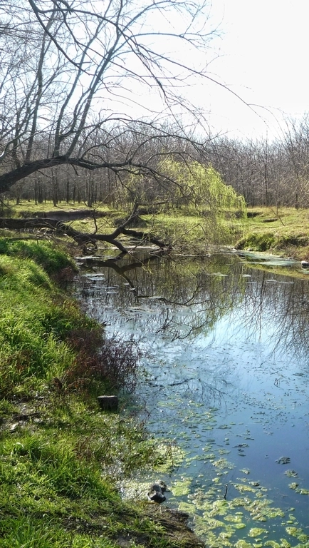 Los dos Guías - Tu aventura te espera