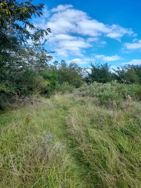 Los dos Guías - Tu aventura te espera