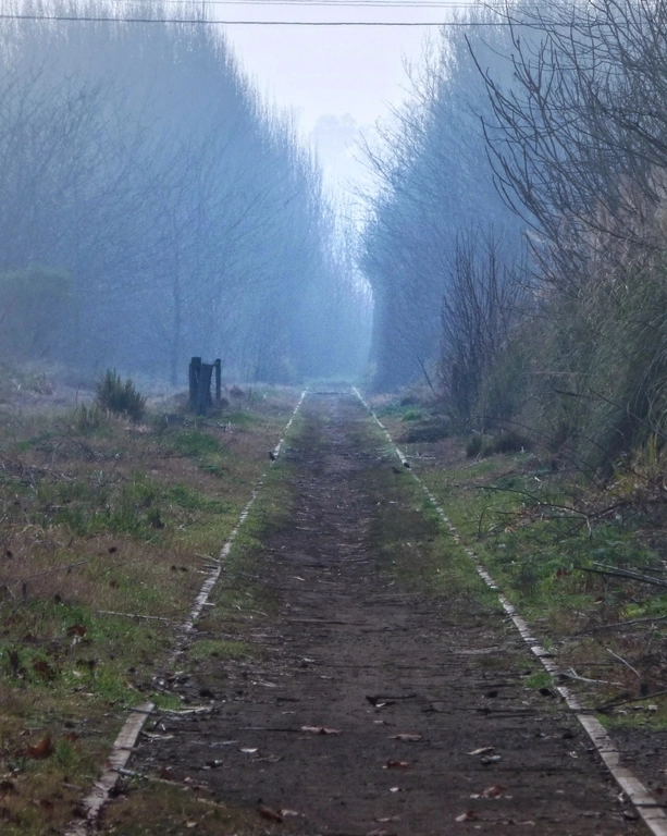 Los dos Guías - Tu aventura te espera