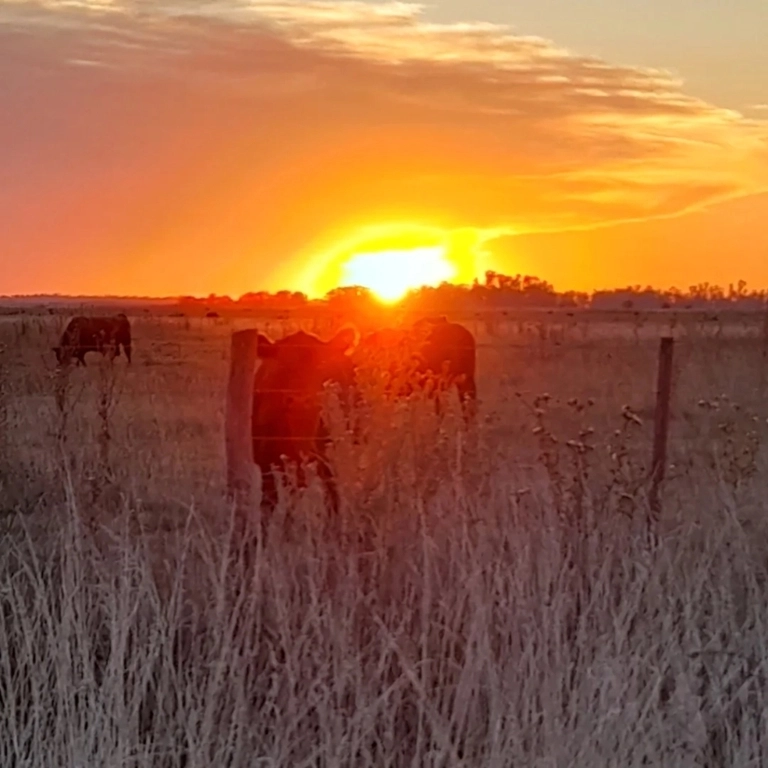 Los dos Guías - Tu aventura te espera