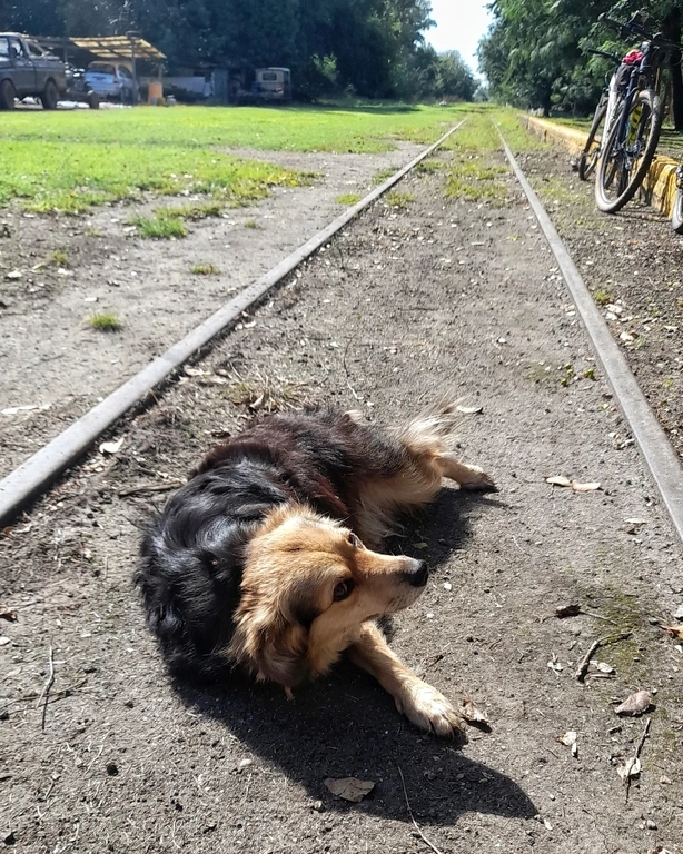 Los dos Guías - Tu aventura te espera