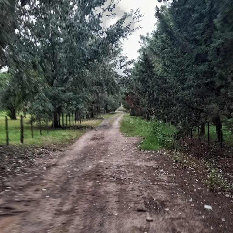 Los dos Guías - Tu aventura te espera