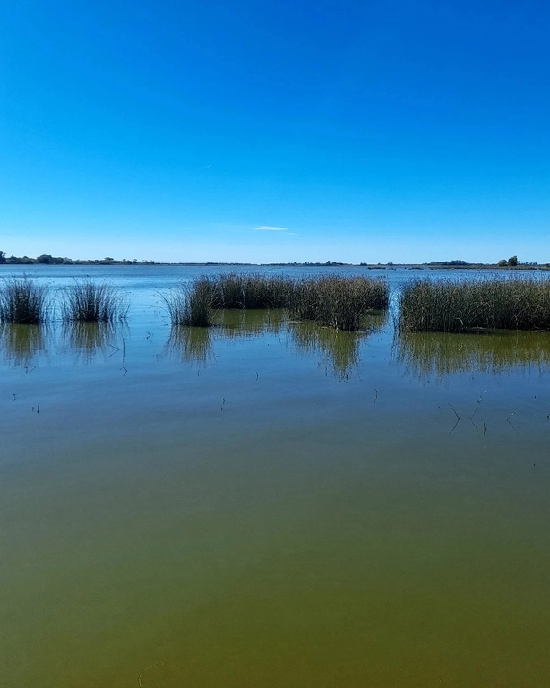 Los dos Guías - Tu aventura te espera