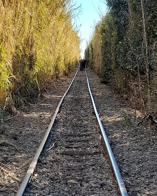 Los dos Guías - Tu aventura te espera