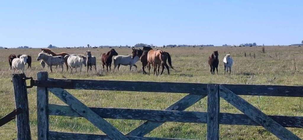 Los dos Guías - Tu aventura te espera