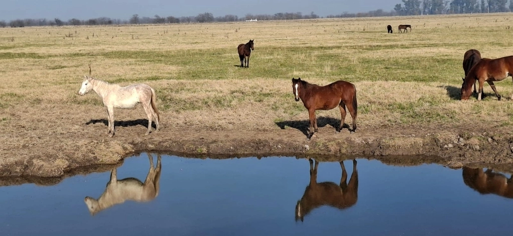Los dos Guías - Tu aventura te espera